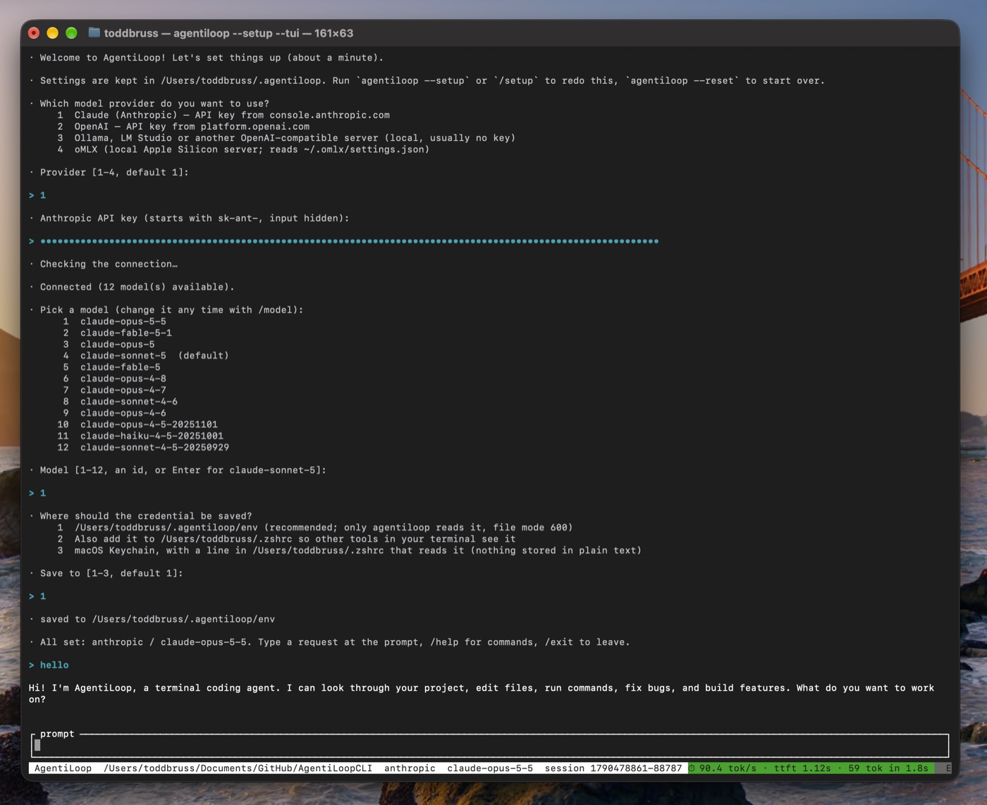 AgentiLoop CLI setup wizard inside the full-screen TUI: provider picked, API key hidden, connection checked, model list, key saved to Keychain, then the first prompt